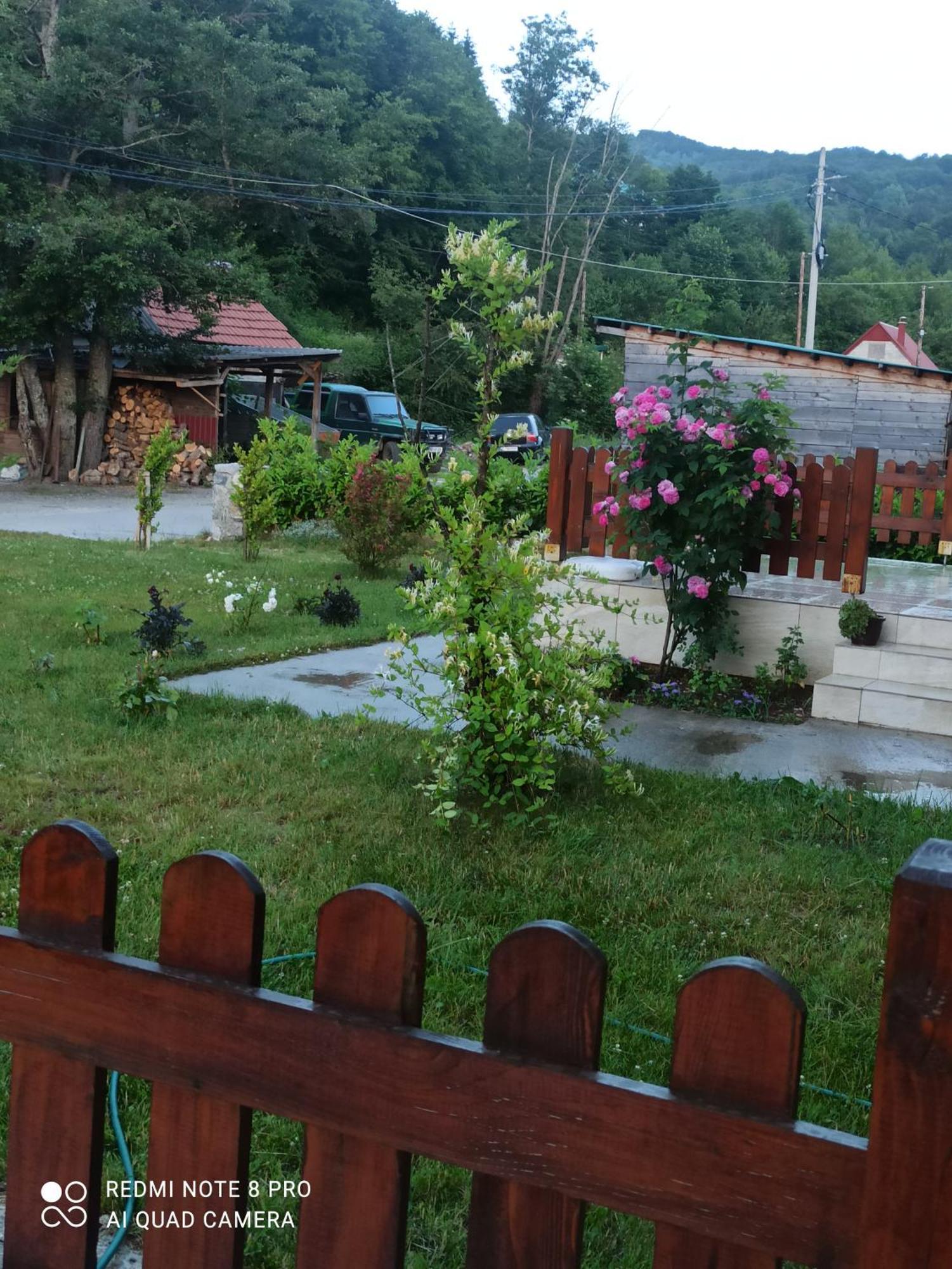Holiday Home Ivana Kolasin Bagian luar foto