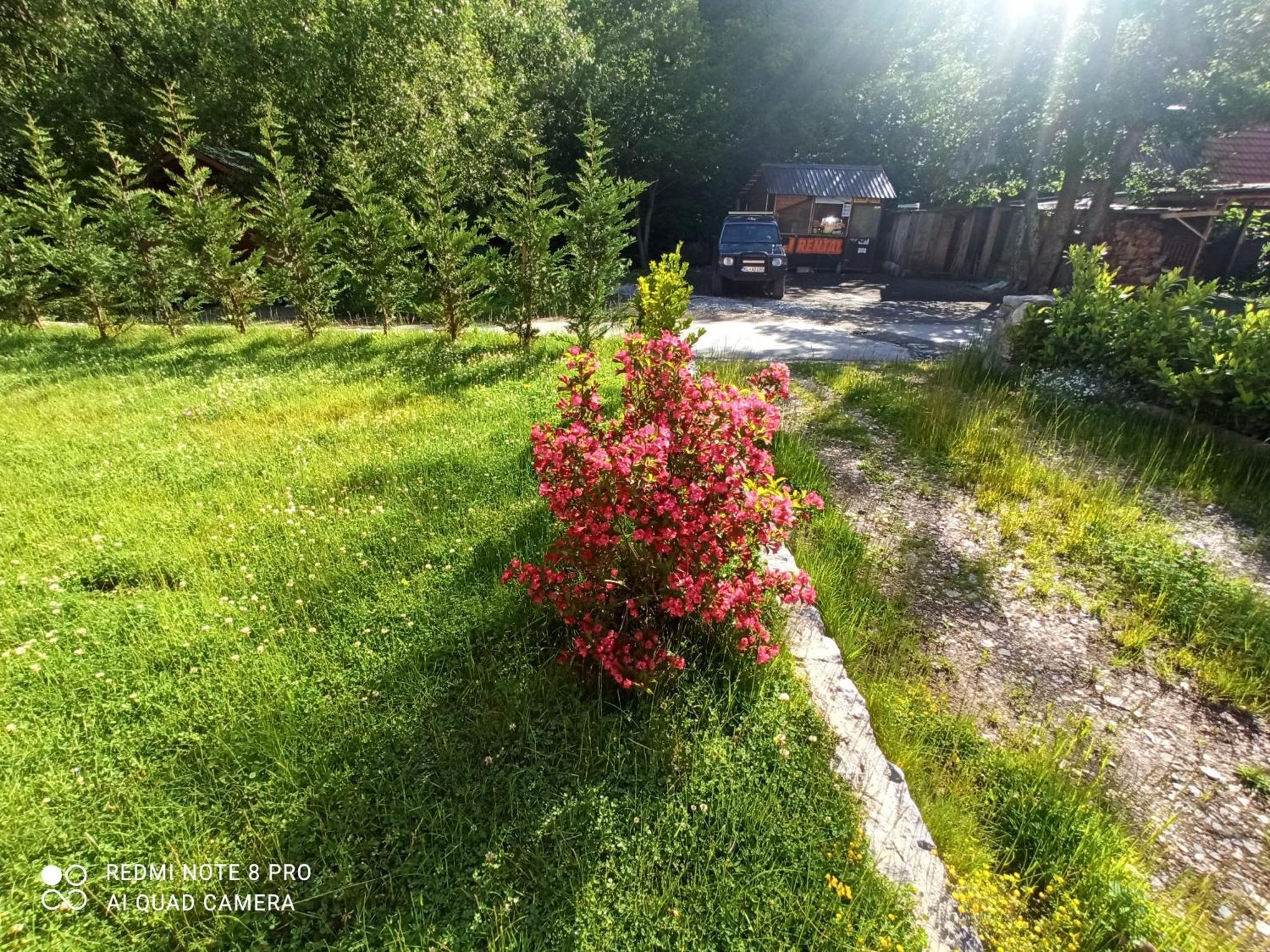 Holiday Home Ivana Kolasin Bagian luar foto